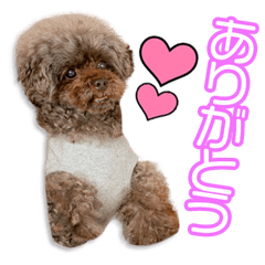 [LINEスタンプ] 田中家のラヴちゃん