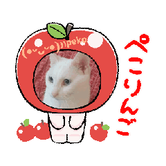 [LINEスタンプ] シロと福ペコりん