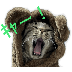 [LINEスタンプ] にゃまこ こわいにゃろ～！