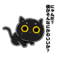 [LINEスタンプ] 猫が考えていることです。