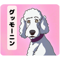 [LINEスタンプ] 脱力系スタンダードプードル