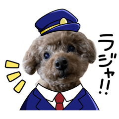[LINEスタンプ] M家のわんにゃんスタンプ