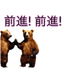 [LINEスタンプ] くま先輩から一言