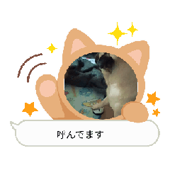 [LINEスタンプ] ぱぐかわ2の画像（メイン）