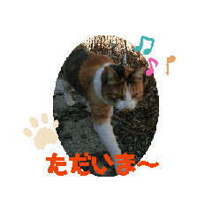 [LINEスタンプ] チビ＆ふて動くよ