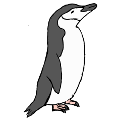 [LINEスタンプ] ヒゲペンギンといっしょ