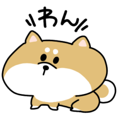 [LINEスタンプ] ゆるめな柴犬