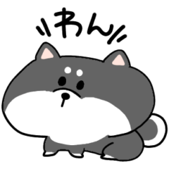 [LINEスタンプ] ゆるめな柴犬（黒）