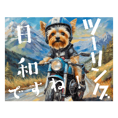 [LINEスタンプ] ヨークシャテリアとバイクのご挨拶スタンプ