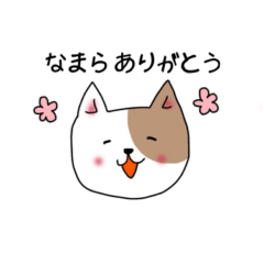 [LINEスタンプ] 北海道弁のにゃんこ