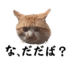 [LINEスタンプ] 津軽弁 ゴンちゃん