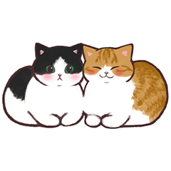 [LINEスタンプ] 【連絡にも使いやすい！】猫スタンプ