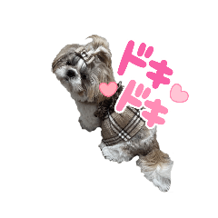 [LINEスタンプ] てんちゃんのHappy Lifeの画像（メイン）