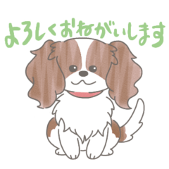 [LINEスタンプ] まよさんちのキャバリア