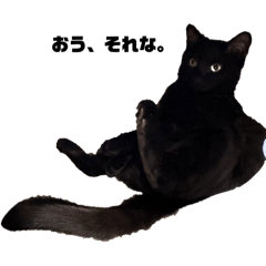 [LINEスタンプ] 黒猫諭吉のゆるい生活