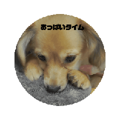 [LINEスタンプ] チワックス 大好き