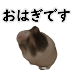 [LINEスタンプ] ぱんだまうすの画像（メイン）