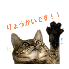 [LINEスタンプ] みこ様の日常使いやすいスタンプ