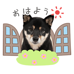 [LINEスタンプ] うちのコStamp No:2478