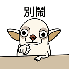 [LINEスタンプ] チワワは良い家族のペットです 35