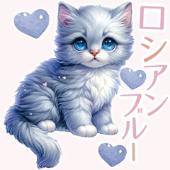 [LINEスタンプ] ロシアンブルー・猫・Russian blue A