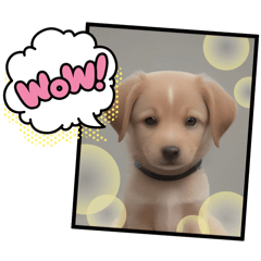 [LINEスタンプ] 仔犬の一言！！