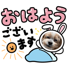[LINEスタンプ] シープーの家族②
