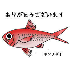 [LINEスタンプ] 海の世界からのメッセージ