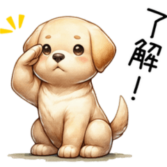 [LINEスタンプ] ラブラドールのシャイン（日常会話）