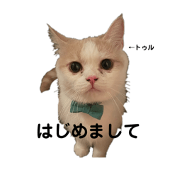 [LINEスタンプ] トゥル君スタンプ