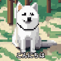 [LINEスタンプ] 白い柴犬はかわいいです