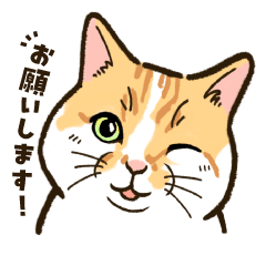 [LINEスタンプ] ねこまみれ（ゆるい敬語・多め）