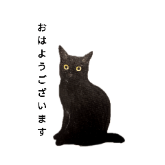 [LINEスタンプ] 福を招く黒猫