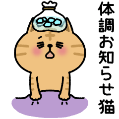 [LINEスタンプ] 茶トラ猫【体調報告】