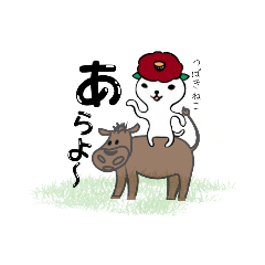 [LINEスタンプ] 五島大好き生意気つばきねこ