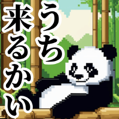 [LINEスタンプ] ドット絵風パンダ君の日常