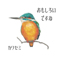 [LINEスタンプ] 日本の野鳥敬語スタンプ