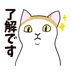 [LINEスタンプ] ちょっとぽっちゃり保護猫スタンプ