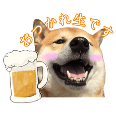 [LINEスタンプ] かなまる_まる