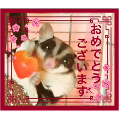 [LINEスタンプ] モモンガなんだ 販売