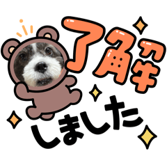 [LINEスタンプ] pworld_20240207222047