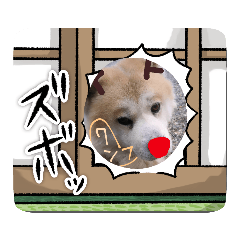 [LINEスタンプ] りきわんわ