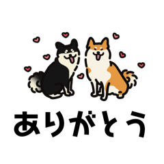 [LINEスタンプ] モドキの柴犬スタンプ