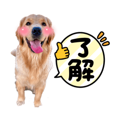 [LINEスタンプ] 愛犬エマとレンのスタンプです