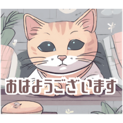 [LINEスタンプ] 日常使いできるイラスト猫