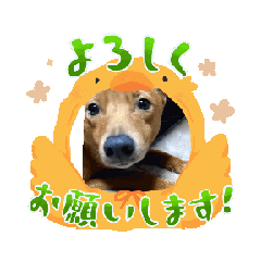 [LINEスタンプ] りゅうの日常アニメーション001