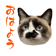 [LINEスタンプ] 我が家の毛モノたち。