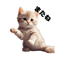 [LINEスタンプ] ねこ様の大冒険