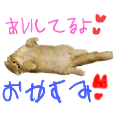[LINEスタンプ] いぶりお