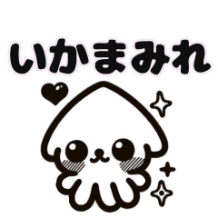 [LINEスタンプ] きらきらイカちゃんスタンプ